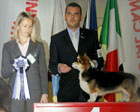 CACIB Montichiari 2012